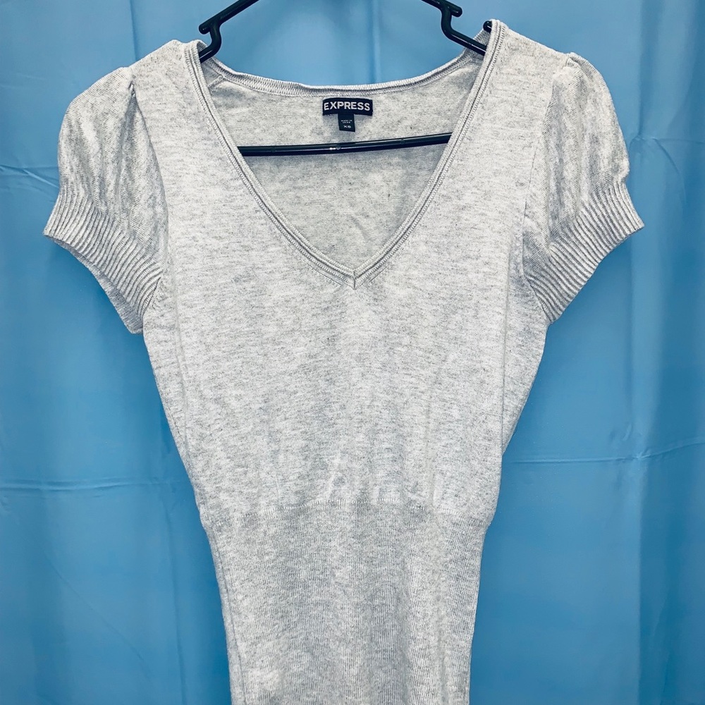 Form Fitting Light Gray V-Neck Express Top
